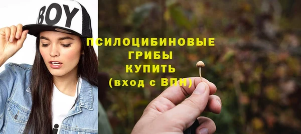 метамфетамин Белокуриха