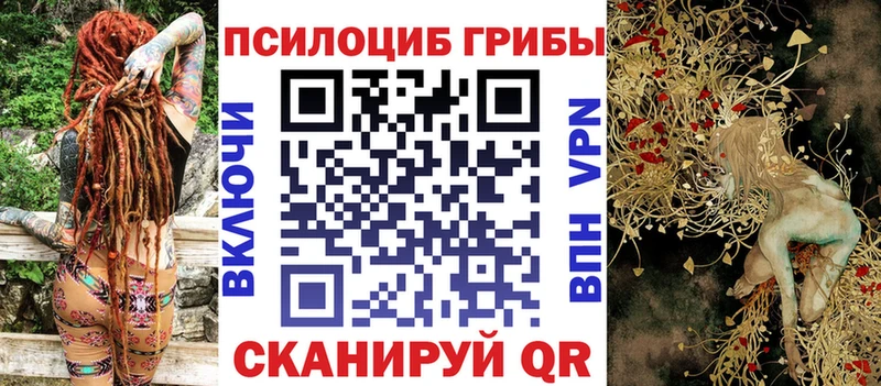 закладка  Беломорск  Псилоцибиновые грибы GOLDEN TEACHER 